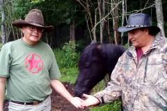 Ojibwe Horses are traditional spirit animals to the Ojibwe people. Pictured: Norman Jordan from Lac La Croix First Nation, Darcy Whitecrow of Grey Raven Ranch, and Ojibwe Horse, Chase.