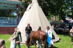 Ojibwe Horse Oshki Aadizookaan (Ojibwe for "New Legend", LLC245) at the 2019 Indigenous Peoples' Day Celebration in Orangeville, Ontario. Photo courtesy Joanne La Mere-Boone.