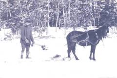 Ojibwe Horses were traditionally used by Ojibwe people for many activities. Tom Ottertail is moving ice blocks in this 1934 photo.