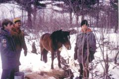 In 1977, the remaining four mares were rescued and taken across Lac La Croix from Canada into the United States. The youngest of these mares, Lillian, belonged to Angus Oshawa Sr. This photo was taken in the bush just prior to the rescue with Randy Olson, Felix Isham, and Romain Isham.
